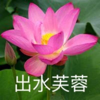 无双乱世手游下载